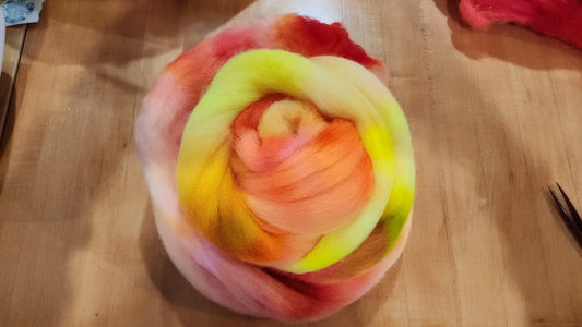 Corriedale X Wool Roving